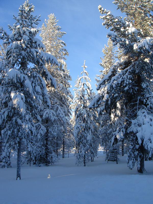 027 Talviaurinko.jpg